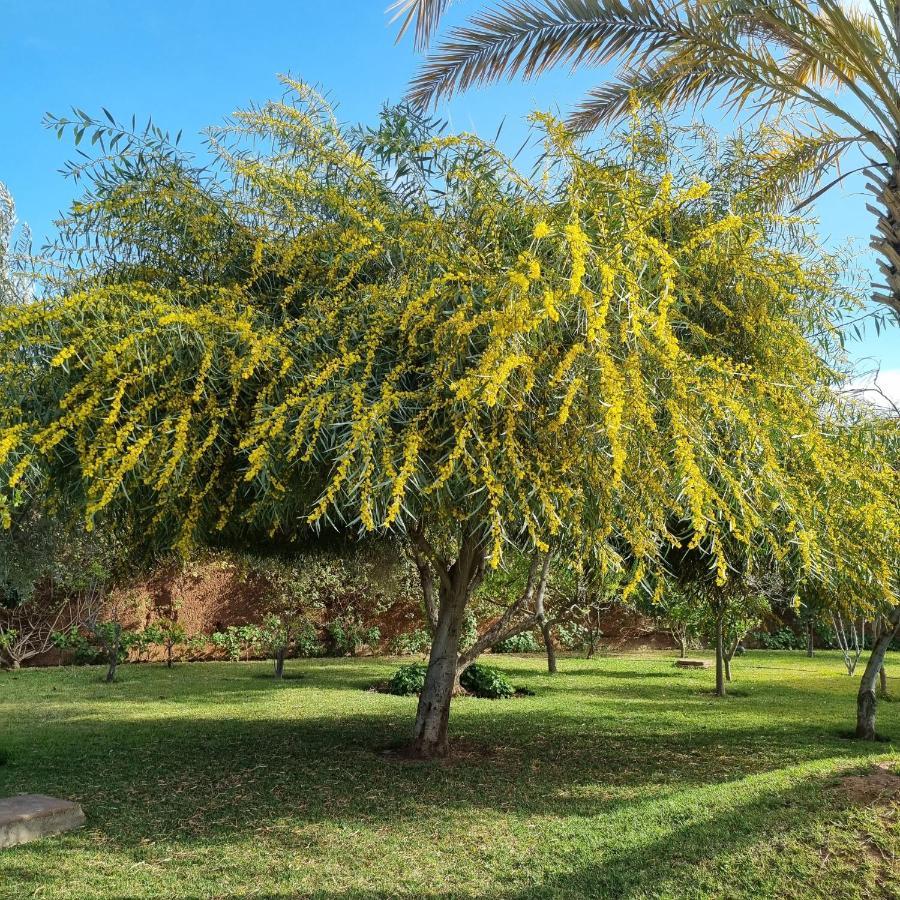 Riad Les Deux Citronniers 마라케시 외부 사진
