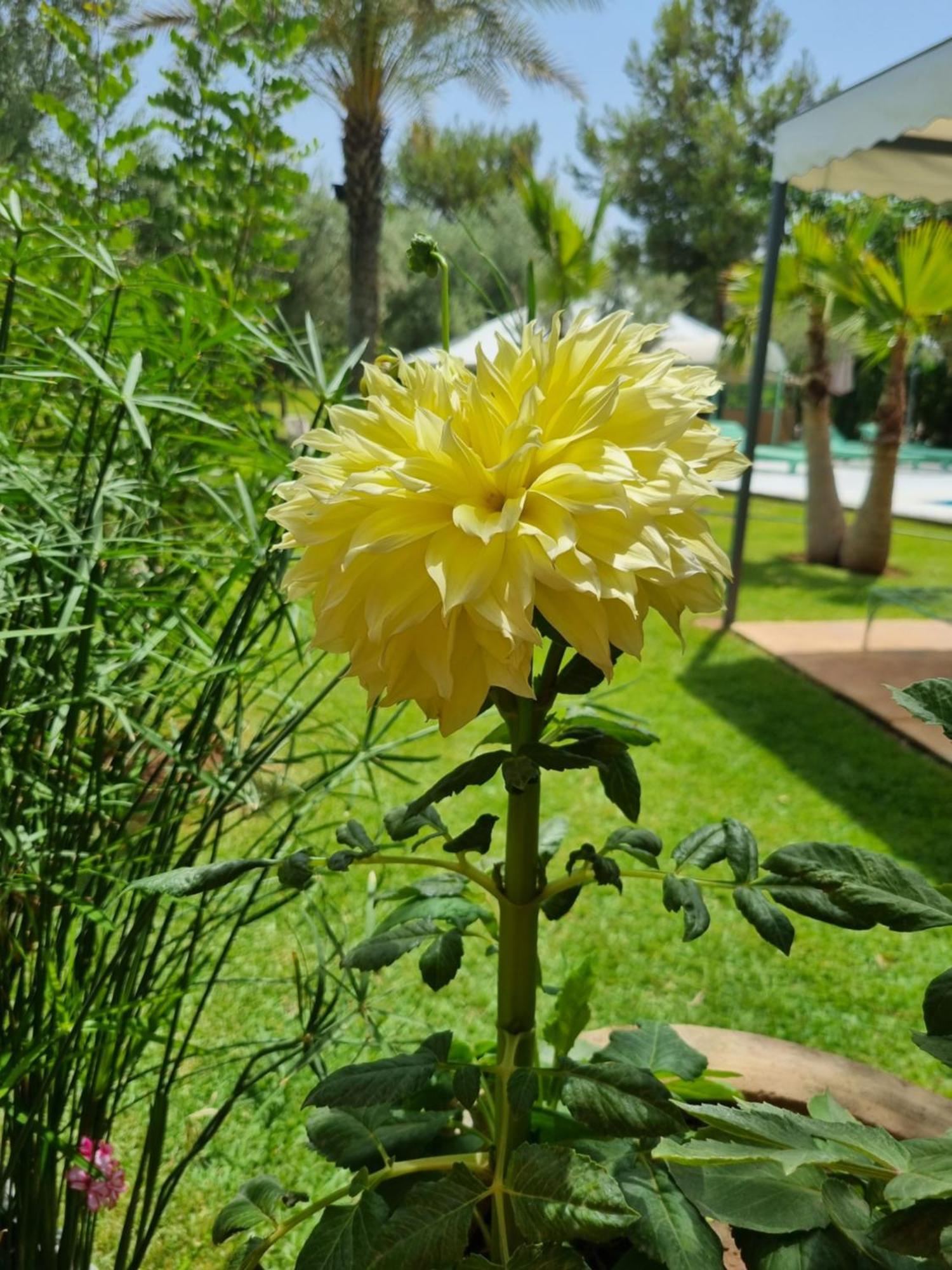 Riad Les Deux Citronniers 마라케시 객실 사진